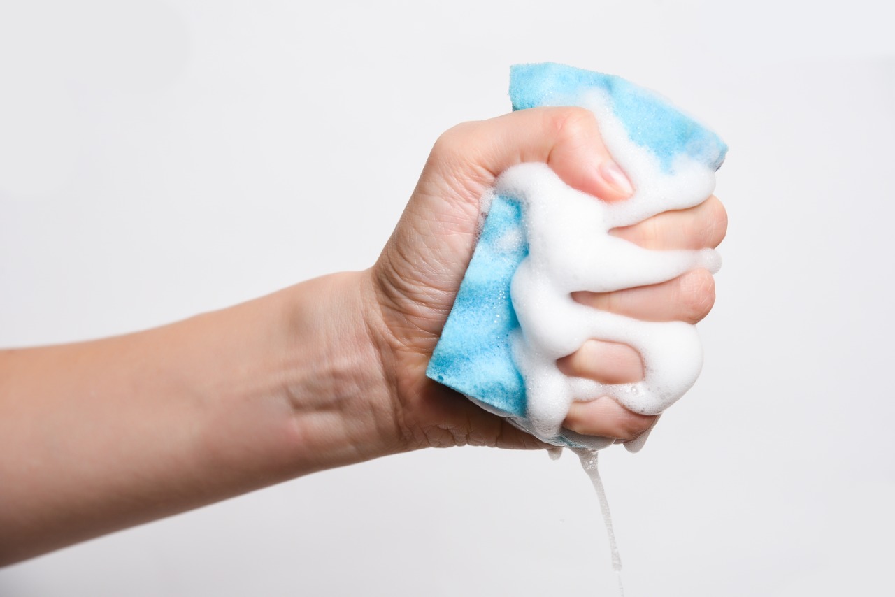 Vamos aprender a higienizar a esponja de lavar louça e manter os fungos longe da sua cozinha?