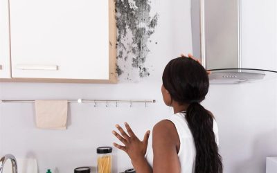 Como evitar que o mofo apareça em sua casa