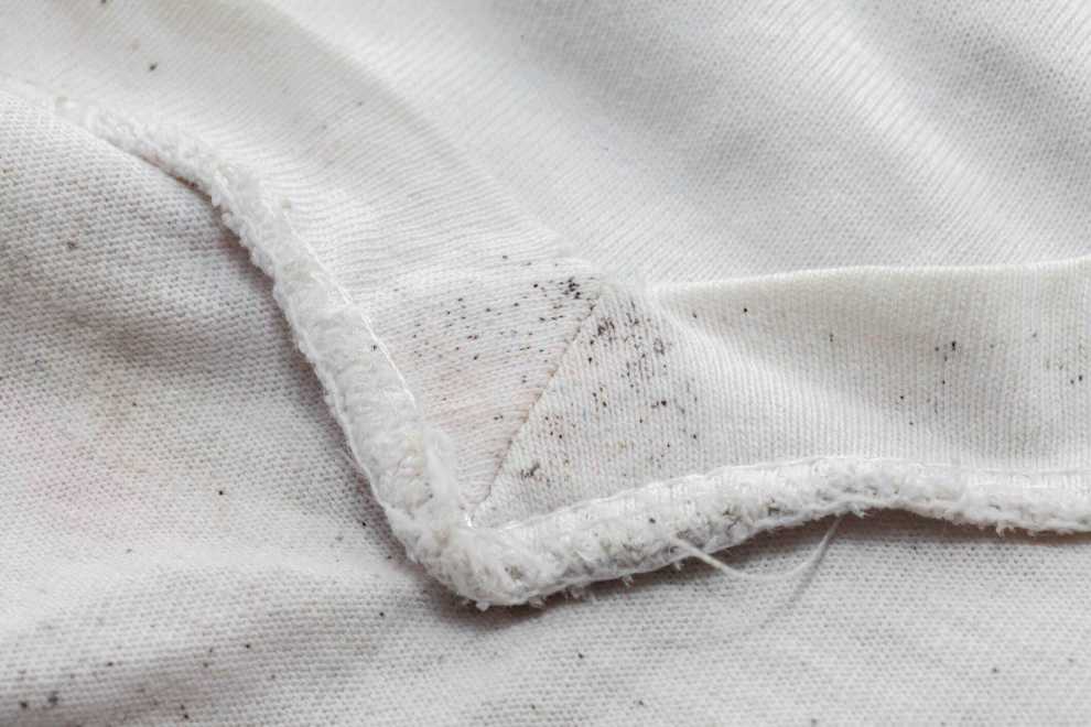 Aprenda a tirar o mofo das almofadas, cortinas e roupas
