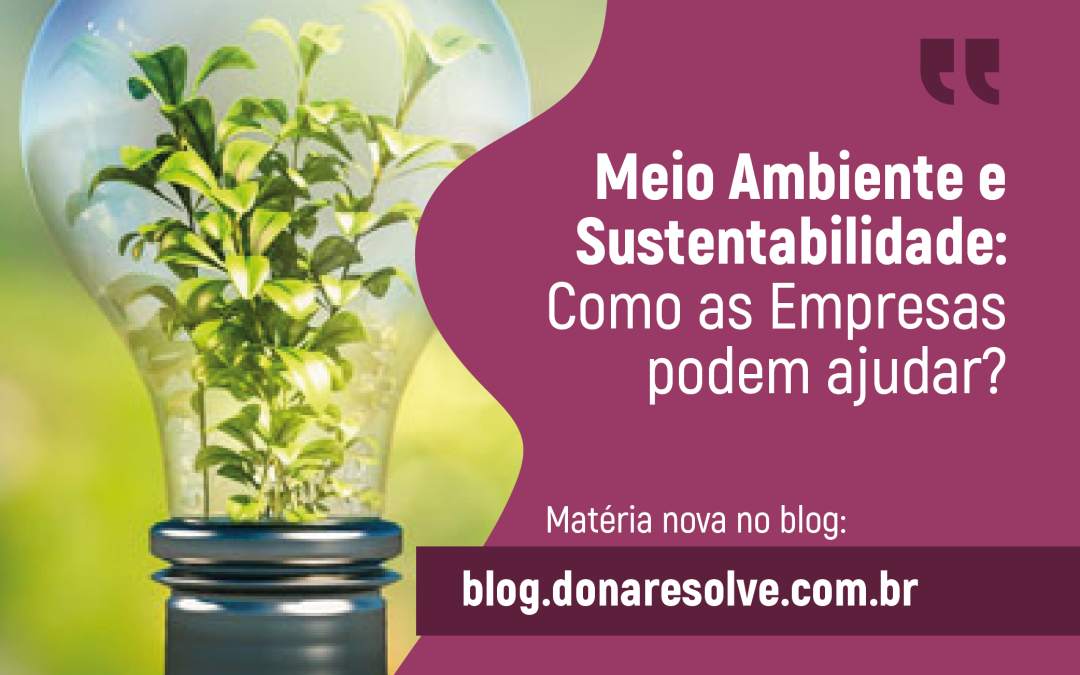 Meio ambiente e sustentabilidade: como as empresas podem ajudar?