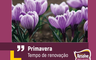 Como aproveitar a chegada da primavera para organizar sua casa.